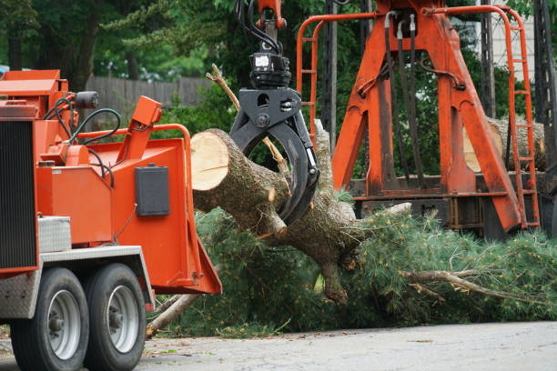 Best Commercial Tree Services  in Odenton, MD